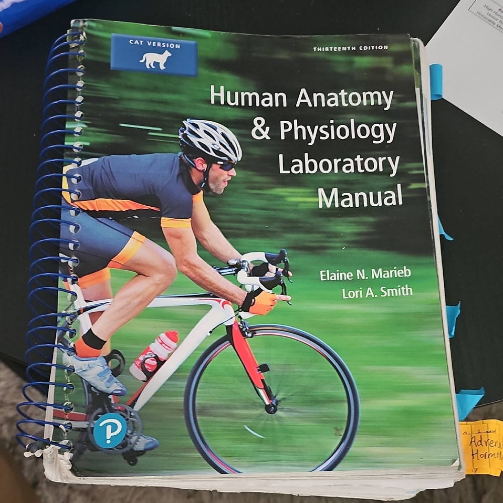Human Anatomy & Physiology Laboratory Manual